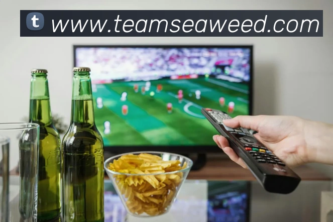 用户互动社区